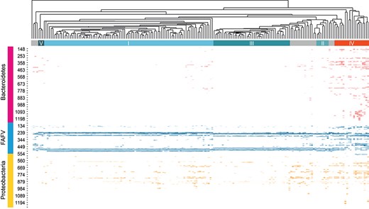 Heatmap of all clustered vaginal swab samples. Top section shows the clustering of all analysed microbiome profiles. The clusters that coincide with the five known CSTs are shown (I–V). The columns represent the profile per individual. The rows represent the found species and the length of the interspace region in units of nucleotides (nt). This can be clustered into three groups at phyla level: Bacteroidetes, FAFV and Proteobacteria.