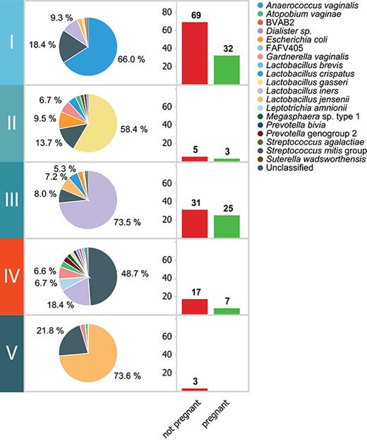 The CSTs and the accompanying pregnancy outcome. The composition of the vaginal microbiome per CST and the accompanying distribution of pregnancy results (not pregnant or pregnant) per CST.