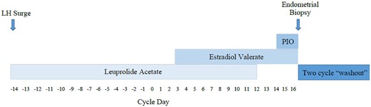 Cycle design. Enrolled participants initiated treatment with leuprolide acetate 10 mg qD after they were confirmed to be in the luteal phase based on transvaginal ultrasound (TVUS) as well as estradiol (E2) and progesterone (P4) serum testing results. On cycle Day 3, estradiol valerate (E2V) was administered intramuscularly every 48 h and dose-adjustment was performed in order to maintain E2 levels in the desired range for the cycle that the participant was completing. Progesterone in oil (PIO) was started on cycle Day 14 and an endometrial biopsy was performed after two completed doses. A two cycle washout period was required between each consecutive stimulation cycle.