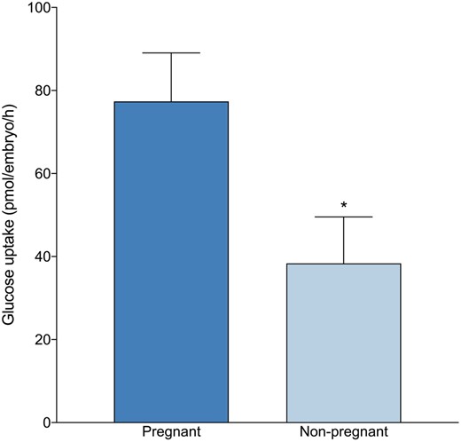 Glucose uptake of blastocysts that were transferred in a fresh single blastocyst transfer cycle and ongoing pregnancy rates. All data are expressed as mean ± SEM (pmol/embryo/h) for pregnant (n = 17) and non-pregnant (n = 20). Significance is measured utilizing Student’s t-test and asterisks denote significance, *P < 0.05.