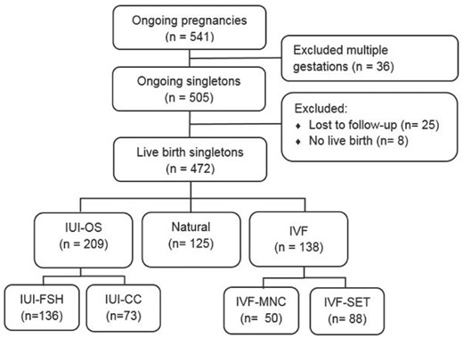 Study flowchart. IUI-CC, intrauterine insemination with clomiphene citrate; IUI-FSH, intrauterine insemination with follicle stimulating hormone; IUI-OS, intrauterine insemination with ovarian stimulation; IVF-MNC, IVF in a modified natural cycle; IVF-SET, standard IVF with single embryo transfer.