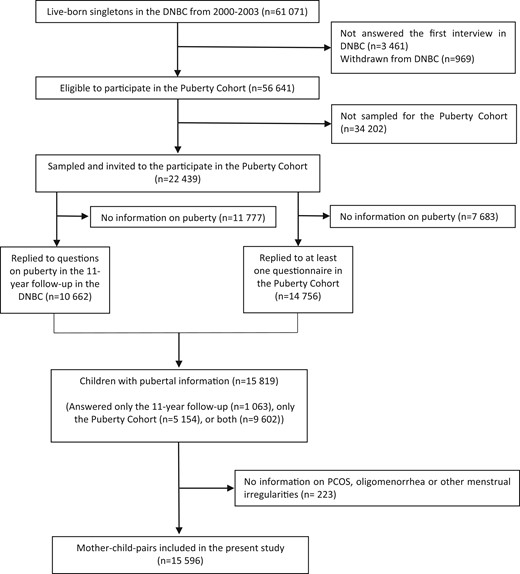 Flowchart of participation in the DNBC Puberty Cohort, Denmark, 2000–2020. DNBC, Danish National Birth Cohort; PCOS, polycystic ovary syndrome.