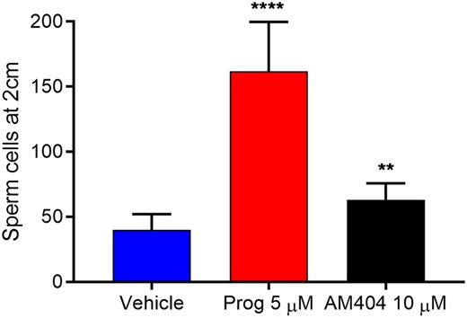 Effect of N-arachidonoyl phenolamine (AM404) on human sperm penetration into viscous mucous. Paracetamol metabolite N-arachidonoyl phenolamine (AM404) changed the penetration of cells into the viscous mucous mimicking the effect of endogenous ligand progesterone (Prog). Values are mean ± SEM of fourteen independent experiments. **** signifies an adjusted P-value <0.0001, ** signifies an adjusted P-value <0.01. Statistics from repeated measures one-way ANOVA on ln-transformed raw values with Geissner–Greenhouse correction and Dunnett’s correction for multiple comparisons. Mean values are 40 (vehicle), 161.7 (Prog) and 62.9 (AM404).