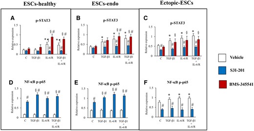 Relative expression levels of p-STAT3 or NF-κB p-p65: effects of stimulation by TGF-β1 and/or IL-6/sIL-6R with or without inhibition of STAT3 activation by S3I-201 or BMS-345541 on activation of STAT3 and NF-κB p65. (A, D) ESCs-healthy. (B, E) ESCs-endo. (C, F) Ectopic-ESCs. BMS-345541, NF-κB inhibitor; C, control (vehicle alone: PBS); Ectopic-ESCs, endometriotic stromal cells; ESCs, endometrial stromal cells; ESCs-endo, ESCs from patients with endometriosis; ESCs-healthy, ESCs from healthy women; IL-6/R, IL-6/soluable IL-6 receptor; S3I-201, STAT3 inhibitor; V, vehicle (DMSO for S3I-201 or BMS-345541) alone. ESCs-healthy: n = 6. ESCs-endo: n = 8. Ectopic-ESCs: n = 8. Numerical values are presented as the mean ± SD. *P < 0.05: versus vehicle (DMSO for S3I-201 or BMS-345541) treated control. ¶P < 0.05: versus vehicle (DMSO) + TGF-β1 treated group. §P < 0.05: versus S3I-201 or BMS-345541 treated control. #P < 0.05: vehicle (DMSO) versus S3I-201 or BMS-345541.