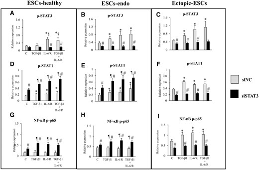 Relative expression levels of p-STAT3, p-STAT1 or NF-κB p-p65: effects of stimulation by TGF-β1 and/or IL-6/sIL-6R with or without inhibition of STAT3 activation by STAT3 siRNA knockdown on activation of STAT3, STAT1 and NF-κB p-p65. C, control (vehicle alone: PBS); Ectopic-ESCs, endometriotic stromal cells; ESCs, endometrial stromal cells; ESCs-endo, ESCs from patients with endometriosis; ESCs-healthy, ESCs from healthy women; IL-6/R, IL-6/soluable IL-6 receptor; siNC, siRNA negative control; siSTAT3, siRNA STAT3. ESCs-healthy: n = 6. ESCs-endo: n = 8. Ectopic-ESCs: n = 8. Numerical values are presented as the mean ± SD. *P < 0.05: versus siNC treated control. ¶P < 0.05: versus siSTAT3 treated control. §P < 0.05: versus siNC +TGF-β1 treated group. #P < 0.05: siNC versus siSTAT3.