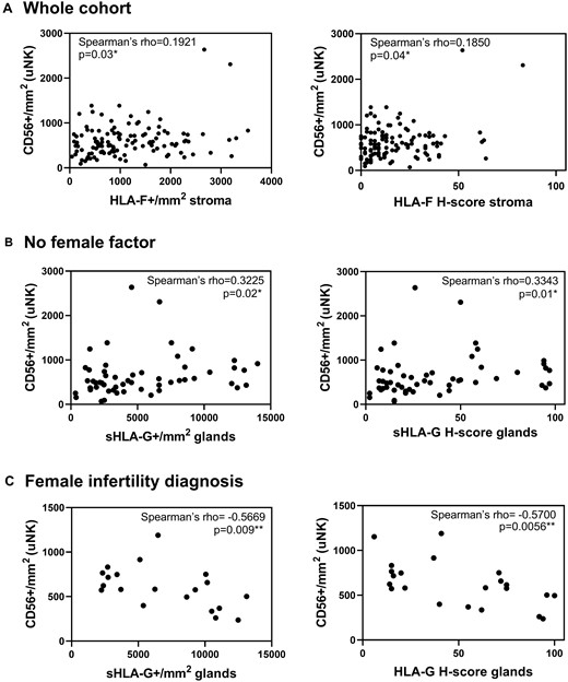 Correlations of uNK cells with HLA-F and sHLA-G. (A) HLA-F expression in the endometrial stroma is positively correlated with CD56+ uNK cells in an analysis of the whole cohort (n = 121). Furthermore, (B) sHLA-G endometrial expression in glands is positively correlated with the amount of CD56+ uNK cells in the no female infertility subgroup (n = 55) and (C) negatively correlated in the female infertility diagnosis (n = 20) (Spearman’s correlation).