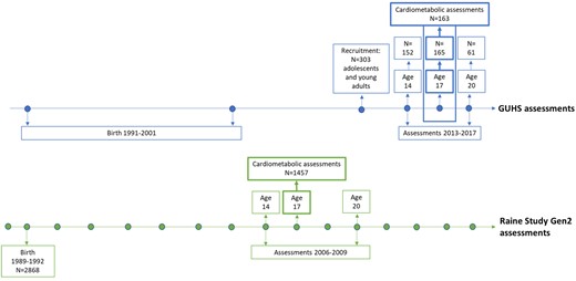 Timeline of the GUHS and the Raine Study Gen2 recruitment and assessments, with cardiometabolic assessments at age 17. GUHS, Growing Up Healthy Study; Gen2, Generation 2.