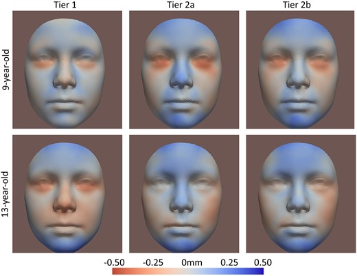 Nominal significant results of different tiers. Multi-ethnic, prenatal alcohol exposure (PAE) level >1. Tier 1: PAE only before pregnancy; Tier 2a: PAE during first trimester, but abstinent during trimesters two and three; and Tier 2b: PAE during first trimester, or PAE during all trimesters. Red areas refer to inward changes while blue areas refer to outward changes of the face with respect to the geometric center of the head.
