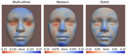 FDR (false discovery rate)-significant results of the multi-ethnic (Dutch, non-Dutch Western, Turkish, and Moroccan), the Western (Dutch and non-Dutch Western) and the Dutch-only samples, PAE (prenatal alcohol exposure) level >1 for 9-year-old children in Tier 2b (any PAE during first trimester). Red areas refer to inward changes while blue areas refer to outward changes of the face with respect to the geometric center of the head.