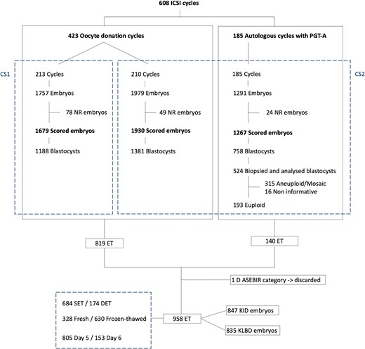 Flow chart of the study population. CS1: culture strategy 1: Sanyo MCO-5M incubator and sequential culture media and Eeva Test 2.3; CS2: culture strategy 2: Geri Connect and Geri Assess software 2.0 and single-step culture medium and Eeva Test 3.0; DET: double embryo transfer; ET: embryo transfer; KID: known implantation data; KLBD: known live-birth data; NR: no result; PGT-A: preimplantation genetic testing for aneuploidies; SET: single embryo transfer.