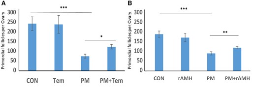 Temsirolimus and recombinant AMH ex vivo primordial follicle counting. Ovaries from 12-day-old mice were placed at an ex vivo system for 7 days after treatment with phosphoramide mustard (PM, 20 ng/ml) or the equivalent volume of media with or without cotreatment with (A) Temsirolimus (Tem) or (B) recombinant anti-Müllerian hormone (rAMH), and then were stained with hematoxylin and eosin for primordial follicle count. *P < 0.05 **P < 0.01, ***P < 0.001. Data were expressed as the mean ± SEM. Statistical analysis was performed by the mixed procedure followed by Tukey’s multiple comparison test. CON: control.