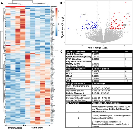 Transcriptomic changes in bulk uterine natural killer (uNK) cells following hormonal stimulation. (A) Heat map showing differentially expressed genes based on bulk RNAseq of sort-purified uNK cells. Upregulated genes expressed in red with downregulation in blue. (B) Volcano plot of protein-coding genes examined via RNAseq. (C) Ingenuity pathway analysis of protein-coding genes showing top canonical pathways, upstream regulators, and biological function, and networks. In bold are pathways/genes/functions associated with immune cell trafficking and movement, and inflammation associated pathways, genes, and functions are italicized. 1: Tkachenko et al., 2011; 2: Sharfe et al., 2002; 3: Leong et al., 2015; 4: Wang et al., 2016; 5: Horwood et al., 2012; 6: Barter et al, 2004; 7: Guezguez et al., 2007; 8: Shannon and Mace, 2021; 9: Chatterjee et al., 2012; 10: Fontana et al., 2015. VTCN1, V-set domain containing T-cell activation inhibitor 1; CST1, cystatin SN; NTN4, netrin 4; CHIT1, chitinase 1; LDHC, lactate dehydrogenase C; CPB1, carboxypeptidase B1.
