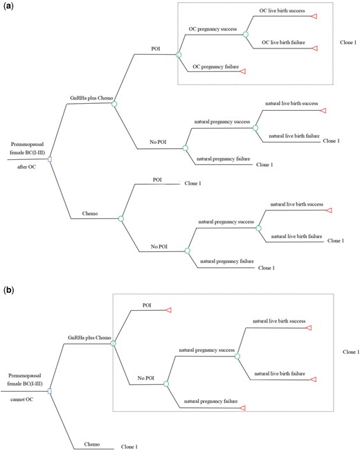Decision tree of the fertility model. The decision tree of the fertility model is shown for Context I (a) and Context II (b). Context I: adding GnRHa to preserve fertility in young patients with breast cancer after OC. Context II: adding GnRHa to preserve fertility in young patients with breast cancer who cannot accept OC. Circles represent a chance node, squares represent a decision node, and triangles represent an ending node. Clone represents a copy of the decision tree branches in the dotted box, corresponding to the clone number in a same tree. BC, breast cancer (Stages I–III); Chemo, chemotherapy; GnRHa, GnRH agonist; GnRHa plus Chemo, adding GnRHa during chemotherapy; OC, oocyte cryopreservation; POI, premature ovarian insufficiency.