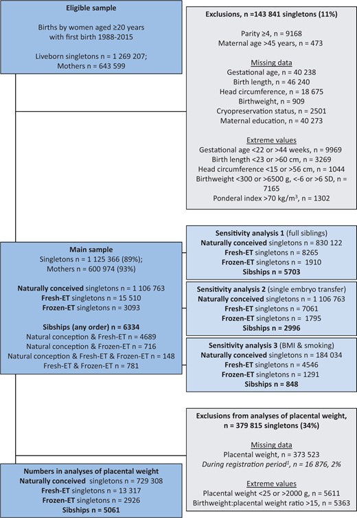 Flow chart of study population showing eligibility, exclusion criteria and numbers, and number of exposed and unexposed observations in the analyses’ samples.1Placental weight was recorded from December 1998. If not otherwise specified, sibships refer to sibships with at least two of the three different conception methods. Fresh-ET, fresh embryo transfer; frozen-ET, frozen embryo transfer.