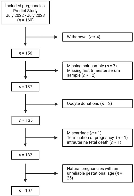 Flowchart of the study population.