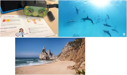Virtual reality (VR) intervention and the installed VR applications. The VR applications were provided by SyncVR. (A) The head-mounted VR device (PICO G2 4K) with remote control. (B) Example of the nature movies. (C) Example of the breathing exercises.
