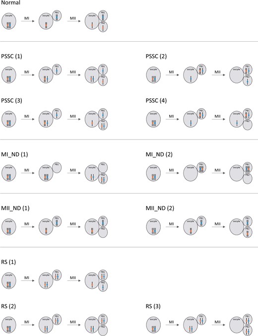 Aneuploidy in oocytes from women of advanced maternal age: analysis of ... Biology Diagrams