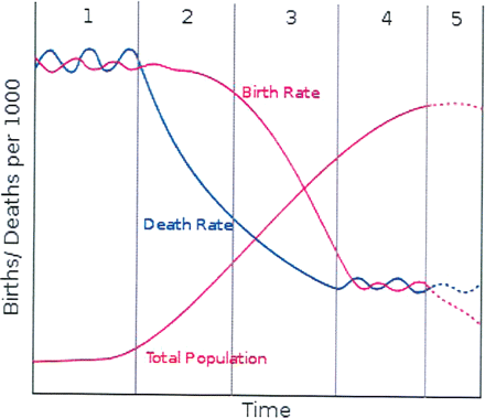 Schematic illustration of the different stages of demographic transition (Mateos-Planas, 2002).