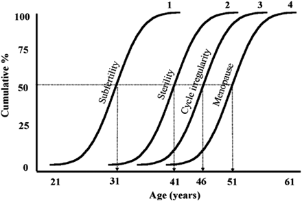 The distributions of age at the onset of subfertility (curve 1), at occurrence of natural sterility (curve 2), of cycle irregularity (curve 3) and of menopause (curve 4) according to the fixed interval hypothesis of te Velde and Pearson (2002) (Lambalk et al., 2009). The fixed interval hypothesis assumes that the ages of the onsets of declining fertility, sterility, cycle irregularity and menopause are determined by the ovarian aging process from fetal life until menopause. The cumulative ages of these events, therefore, show the same variation as ages at menopause with the same time intervals in between. Median ages for these events are depicted on the X-axis. Curve 4 is based on data by Treloar (1981), curve 3 is based on data from den Tonkelaar et al. (1998), curve 2 is based on data on last child birth in a nineteenth century natural fertility population (Bouchard, 1989) and curve 1 is a hypothetical construct based on the age distribution of related reproductive events as depicted in curves 2–4.