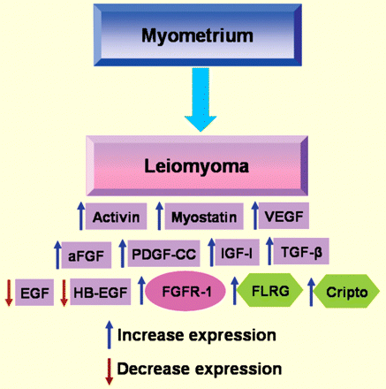 Expression level changes of growth factors (violet), their receptors (pink) and related proteins (green) in leiomyoma compared with normal myometrium.