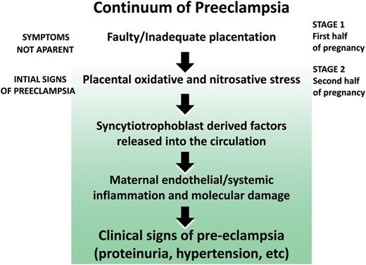 The potential sequence of events that contribute to pre-eclampsia. The oxidative/nitrosative stress that occurs may be a result of permanent hypoxia or intermittent hypoxia/reoxygenation resulting from placental maldevelopment because of inadequate attachment of the placenta to the uterine wall. Melatonin, due to its potent antioxidative actions, reduces ischemia/reperfusion injury to the placenta under experimental conditions and could potentially alleviate some of the signs of pre-eclampsia for the same reason. Melatonin also has antihypertensive actions which may aid in lowering the blood pressure in pre-eclamptic women. Not illustrated in this figure are the negative effects that chronodisruption has during pregnancy (see text).