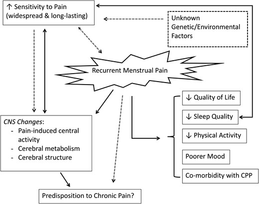 A schematic representation of the proposed (dotted lines) and known (solid lines) effects of recurrent dysmenorrheic pain, as well as the inter-relationships of these effects. Women with dysmenorrhea have reduced sleep quality, quality of life, physical activity, and poorer mood when in pain, as well as increased co-morbidity with chronic pelvic pain (CPP) conditions. Throughout the menstrual cycle, women with dysmenorrhea have an increased sensitivity to painful stimuli, however, it is unknown whether the increased sensitivity to pain is the cause or effect of recurrent menstrual pain. Unknown genetic or environmental factors and underlying differences in the pain processing of the central nervous system (CNS) may also play a role in predisposing these women to greater pain sensitivity and consequently recurrent menstrual pain.