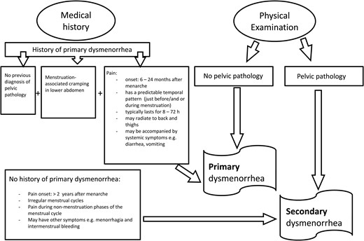 A diagnostic flow diagram for the differential diagnosis of primary and secondary dysmenorrhea.