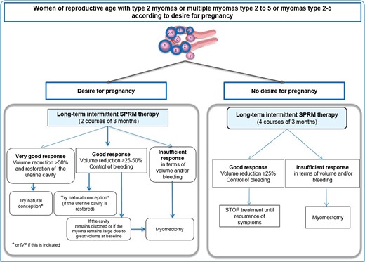 Management in case of myomas or multiple myomas (type 2–5) in women of reproductive age, according to desire for pregnancy. In cases of infertility, two courses of three months are recommended (left panel). Subsequent therapy is determined depending on the response to treatment and restoration of the uterine cavity. If there is no desire to conceive (right panel), long–term (four courses) intermittent therapy may be proposed. In case of a good response in terms of fibroid volume reduction and bleeding, treatment is stopped and only restarted if symptoms recur. Fibroid classification cartoon republished with permission from Munro et al. (2011).