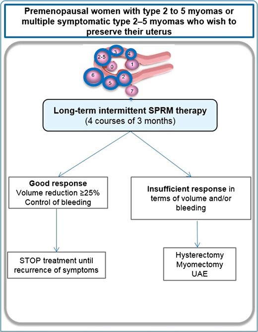 Management of type 2 to 5 myomas or multiple myomas (type 2–5) in premenopausal women wishing to preserve their uterus. In this case, long-term (four courses of three months) intermittent therapy with SPRMs is proposed. Fibroid classification cartoon republished with permission from Munro et al. (2011).