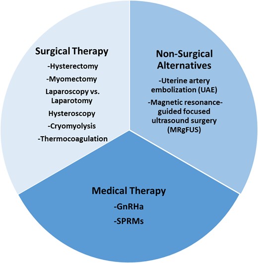 Surgical, non-surgical and medical therapy for the management of fibroids: the current armamentarium.