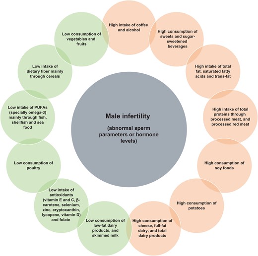 Nutrition-related factors reported in this review that were associated with male infertility. Different colors denote the type of association with male infertility: positive association in green and negative association in orange.