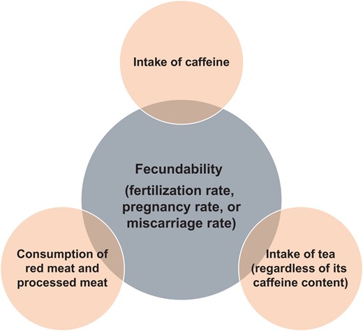 Diet-related factors reported in this review that were associated with fecundability. Negative associations are shown in orange.