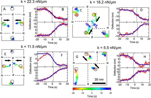 Sample cytoquake events for 3T3 fibroblasts on different substrates of different stiffness. (A), (C), (E), (G) 2D traces over 40 s for nearest neighbor post pairs and the corresponding 2nd nearest neighbor posts. The black arrows show each post’s overall direction of motion. The trajectories are color coded to indicate time (scale shown in G). The circles show the posts’ resting positions. The relative positions of the posts are shown, but the separations are not to scale. (B), (D), (F), (H) Displacements for the posts in the pairs projected along the lines of centers (red traces). Blue curves show error function fits and dashed lines show the midpoints of the fits.