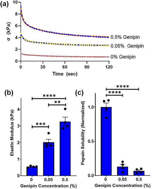 （a） 天然和京尼平修饰ECM的应力松弛试验（实线）。麦克斯韦模型符合实验数据（虚线）。（b） 天然和京尼平修饰肾皮质的弹性模量。Genipin修饰导致基质硬度的剂量依赖性增加。（c） 硬度增加对应于胃蛋白酶溶解度降低，表明京尼平修饰基质中交联增加。数据通过单向方差分析和事后Tukey检验进行多重比较。数据显示为平均值±SEM（n=4），**P<0.01，***P<0.001，****P<0.0001。