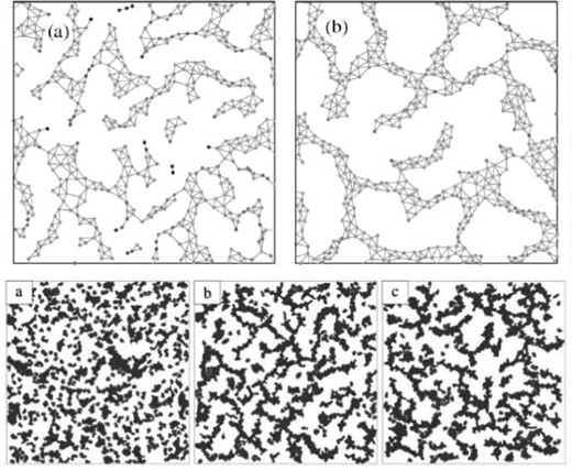 Computer simulations of early vasculogenesis by an agent-based model and a modified Cellular Potts Model. Upper panel: network formation in the agent-based model. Randomly placed N = 500 particles assemble into linear structures, detectable already within 30 minutes (a). At a sufficiently high particle density, a characteristic pattern size develops in five hours (b) with a combination of sprouting (branch extension) and coarsening (merger of adjacent branches). Connected dots represent Voronoi neighbor particles. Darkening gray levels indicate increasing local anisotropy. The simulation covered an area of L = 0.7 mm. From Szabo et al. (2007) with permission of Phys. Rev. Lett. Lower panel: the Potts model simulation reaches a stationary state where surface tension-driven coarsening is balanced by the formation of new sprouts. Configurations in the model are shown after 100 (a), 1000 (b), and 30 000 (c) Monte Carlo time-steps. As the structure factors averaged over 10 independent runs reveal, the emerged pattern does not change its statistical characteristics after 1000 steps (a). However, the resulting pattern is not frozen: branches still form and break up. Also see Reference video 12. From Szabo et al. (2008) with permission of Biophys. J.