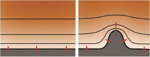 Mullins–Sekerka instability develops when the dynamics of a diffusive field is fast and a stronger gradient accelerates the movement of the interface. In such systems the tip of a ‘sprout’ senses larger gradients in the ‘updated’ concentration field, i.e. in the field that is adapted to the altered shape of the interface. Hence the sprout elongates as long as it can effectively reduce the concentration of the chemoattractant at the tip. Concentration is indicated by orange color, and selected concentrations by black contour lines while red arrows with proportionate lengths point up the gradient that a cell senses. From Czirok (2013) with permission of Wiley Interdiscip. Rev.: Syst. Biol. Med.