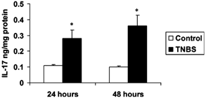 IL-17 levels in colonic tissues from wild-type (WT) mice treated with TNBS or vehicle control. Colons from mice were collected at 24 or 48 hours after intrarectal administration of TNBS, and the tissue homogenates were prepared and compared with control mice. Results represent mean + SEM of 5 mice. *P < 0.05 vs control.