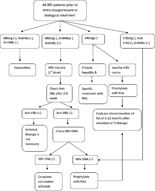 An algorithm for the management of patients with IBD according to HBV infection status.