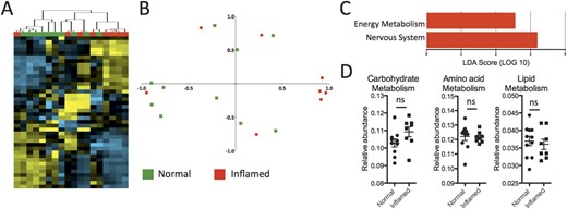 Limited differences between the mucosal microbiota of inflamed and noninflamed samples from CD patients. A, Hierarchical clustering analysis of samples from CD patients shows limited segregation of inflamed (red) and noninflamed (green) samples. B, Principal component analysis shows limited segregation of inflamed and noninflamed samples. C, Supervised comparison identifies only 2 differentially abundant KEGG pathways using LEfSe (LDA score, >2.0). D, Genes involved in amino acid, lipid, and nucleotide metabolism pathways are not significantly different between inflamed and normal tissue of CD patients, but there is a increase in the energy metabolism pathway. *P < 0.05. ns, not significant.
