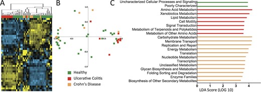 KEGG metabolic pathways are significantly different in the mucosal microbiota of inflamed tissue from UC and CD patients. A, UC and CD patient samples with active inflammation clustered distinctly into separate arms. Some samples from healthy patients cluster with UC samples, whereas other healthy samples cluster with CD samples. B, Principal component analysis confirms the segregation of CD and UC inflamed samples, although there is no clear separation from healthy subjects. C, LEfSe analysis (LDA score, >3.0) shows that amino acid and lipid metabolism was more abundant in the mucosal microbiota of inflamed UC samples, whereas carbohydrate, energy, and nucleotide metabolism pathways were more abundant in inflamed CD samples.