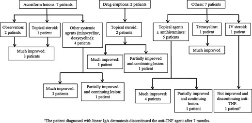 The treatment and response of patients with acneiform, drug eruption, and other skin lesions.