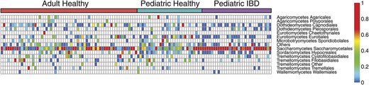Taxonomic heatmap of fungal community members in healthy and IBD subjects. Proportions of fungal OTUs in adult healthy, pediatric healthy, and IBD subjects. The color bar on the top indicates the health status of each subject. Each column indicates a different subject. The color bar on the right side indicates the average relative abundances of these genera in each subject.