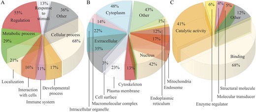 Gene ontology characterization of the 5711 quantified proteins in terms of (A) biological processes performed by the proteins, (B) cellular component to which the proteins are associated, and (C) the primary molecular functions of the proteins.
