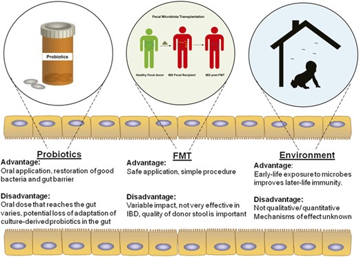 Advantages and disadvantages of different symbiotic interventions of gut microbial flora. Exogenous bacteria can influence the dysbiotic gut to achieve restoration of a healthy flora. These exogenous bacteria can be introduced in the form of probiotics or fecal microbiota transplantation that has their own advantages and disadvantages. Microbes present in the environment can also alter the endogenous gut microbiome composition and confer disease susceptibility or protection.