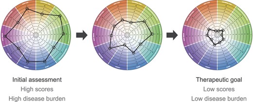 Hypothetical example of how a patient's IBD Disk assessment may change over time with good disease management.