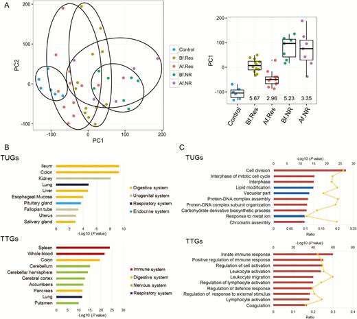 Residual genomic profile of CD patients. A, PCA of colonic expression data from 19 patients with Crohn’s colitis (12 responders and 7 nonresponders) at the time of pre– and post–infliximab treatment and from 6 healthy controls (microarray expression data were obtained from the study by Arijs et al.16). Boxplots of PC1 distribution for each group and P values (-Log10) from the control group are as indicated on the right. B, The top 10 enriched tissue types in TUGs (upper) and TTGs (lower) using the Nextbio Body Atlas application taken from the Genotype-Tissue Expression project (GTEx) are displayed. C, The top 10 enriched GO terms in TUGs (upper) and TTGs (lower) using NextBio Pathway Enrichment application are displayed. Category names are presented on the y axis. On the x axis, the significance score (negative log of P value) for each pathway is indicated by the bars, and the line represents the ratio of genes in a given pathway that meets the cutoff criteria among total genes that make up that pathway. Red bars predict an overall increase in the activity of the pathway whereas blue bars indicate a prediction of an overall decrease in activity. Abbreviations: Af.NR, nonresponder after treatment; Af.Res, responder after treatment; Bf.NR, nonresponder before treatment; Bf.Res, responder before treatment.