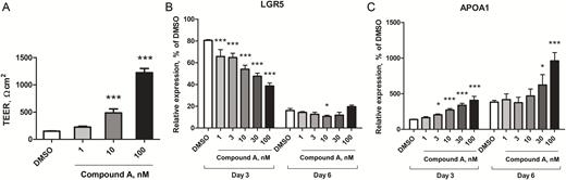 MEK1/2 inhibitor enhanced intestinal barrier formation by promoting differentiation of IECs. A, TEER was measured to assay the integrity of the epithelium layer formed by differentiated Caco-2 cells. The values represent the means of n = 4 samples ± standard deviations. Levels of statistical significance compared with DMSO control: ***P value < 0.0005 by Williams test. Relative mRNA expression levels of APOA1 (B) and LGR5 (C) at day 3 and day 6 were measured by RT-PCR, normalized with the expression of GAPDH at day 1. The values represent the means of n = 3 samples ± standard deviations. Levels of statistical significance compared with DMSO control: *P value < 0.025: **P value < 0.005: ***P value < 0.0005 by Williams test.