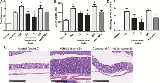 Therapeutic efficacy of enteric MPs of MEK1/2 inhibitor in activated T-cell transfer colitis model. A, Diarrhea score data and (B) colon weight data were analyzed in a blind fashion. C, Representative H&E-stained colon sections of normal mice, vehicle, and 1 mg/kg Compound A treated activated T-cell transfer colitis mice (magnification, ×200, scale bar = 500 μm). D, Quantitative evaluation of the histology score of colitis was analyzed. Data are presented as the mean ± SE of 4 normal or 7 transferred mice. aP < 0.01, bP < 0.001 (Aspin-Welch test); cP < 0.01, dP < 0.001 (Student t test) vs normal group. eP < 0.025, fP < 0.005 (1-tailed Shirley-Williams test); gP value < 0.025 (1-tailed Williams test) vs vehicle control group.