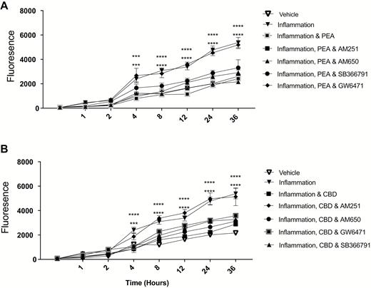 The effects of PEA (basolateral, A) and CBD (apical, B) on the permeability of Caco-2 monlayers in response to 24-hour exposure to TNFα and IFNγ in the presence of various receptor anatgonists, measured by transfer of fluorescent dextrans (FD10). Raw data are expressed as the mean fluoescence per group ± SEM. N = 8 per condition. Data were analyzed by 2-way ANOVA using the Dunnett post hoc test comparing against the vehicle control (*** P < 0.001, **** P < 0.0001).