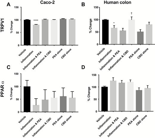The effects of PEA and CBD on the expression of mRNA levels for receptor proteins in response to a 24-hour inflammatory procotol in cultured Caco-2 cells (A = TRPV1, C = PPARα) and human colonic tissue (B = TRPV1, D = PPARα) measured by multiplex. Data are presented as percentage change from vehicle per plate ± SEM, n = 8 (A and C) and n = 7 (B and D) per condition. Data was analyzed by 1-way ANOVA comparing against vehicle (* P < 0.05, ****P < 0.0001) or against inflammation († P < 0.05).